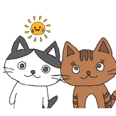 [LINEスタンプ] ハチワレ君とチャトラさん