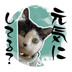 [LINEスタンプ] みい子からねえねへ8