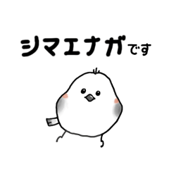 [LINEスタンプ] こんにちはシマエナガさん