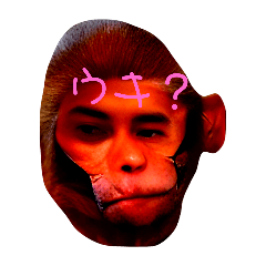 [LINEスタンプ] いい朝ウキよ
