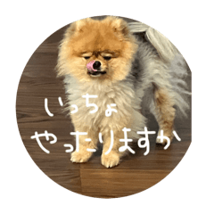 [LINEスタンプ] はるの日常で使えるはずなスタンプ