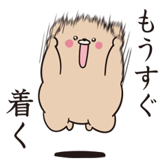 [LINEスタンプ] 腕だけムキムキくまさんのスタンプ 日常編