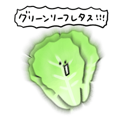 [LINEスタンプ] シンプル グリーンリーフレタス 日常会話