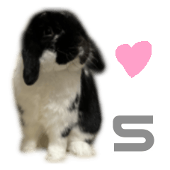 [LINEスタンプ] たれみみうさぎ♡うにちゃん5