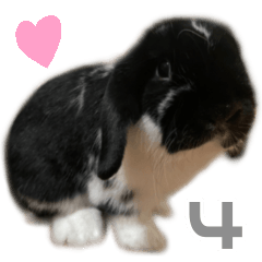 [LINEスタンプ] たれみみうさぎ♡うにちゃん4