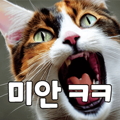 [LINEスタンプ] 韓国語をしゃべる三毛猫