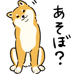 [LINEスタンプ] 今日も柴犬が可愛い -赤柴-