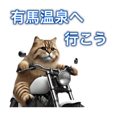 [LINEスタンプ] バイクに乗る猫【関西,四国/ツーリング】