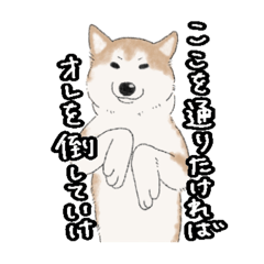 [LINEスタンプ] 柴犬うめはスタンプ