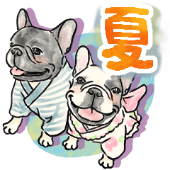 [LINEスタンプ] 【デカ文字】夏に使えるフレンチブルドッグ