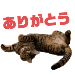 [LINEスタンプ] テンのスタンプⅡ