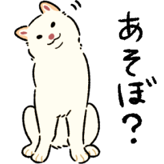 [LINEスタンプ] 今日も柴犬が可愛い -白柴-