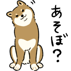 [LINEスタンプ] 今日も柴犬が可愛い -胡麻柴-