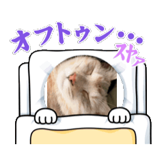 [LINEスタンプ] 大切なモナ。3