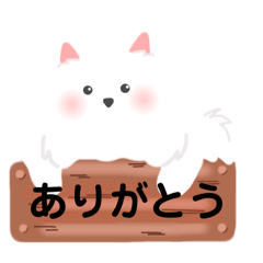 [LINEスタンプ] 日本スピッツのもこちゃん〜日常スタンプ〜