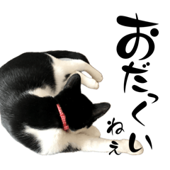 [LINEスタンプ] みい子からパパへ10