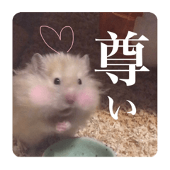 [LINEスタンプ] ハムスターの伝言