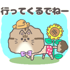 [LINEスタンプ] サマーカットにゃんこ チンチラ猫静岡方言