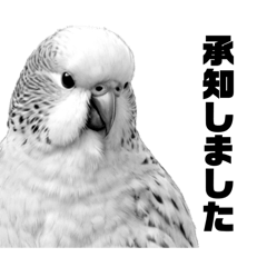 [LINEスタンプ] AI・モノクロ鳥(敬語)