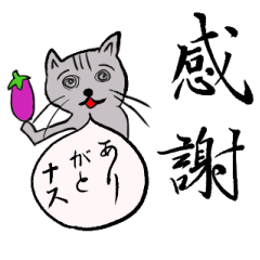 [LINEスタンプ] 美文字と雑なネコ