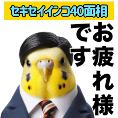 [LINEスタンプ] セキセイインコ 40面相