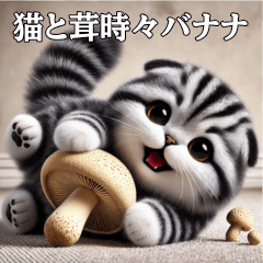 [LINEスタンプ] 使いやすい猫と茸時々バナナ