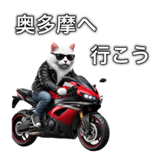 [LINEスタンプ] バイクに乗る猫【関東近郊！ツーリング！】