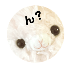 [LINEスタンプ] うささん♡日常シンプル①