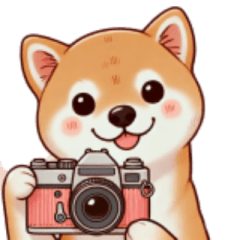 [LINEスタンプ] ❇柴犬❇使いやすいフレーズ集①