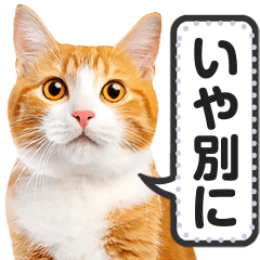 [LINEスタンプ] リアルな茶白と茶トラ猫で挨拶しよっ！