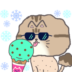 [LINEスタンプ] サマーカットにゃんこ チンチラペルシャ猫