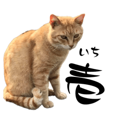 [LINEスタンプ] ちゃーくんと数葉1