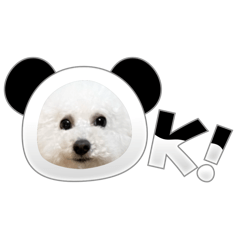 [LINEスタンプ] うちの愛犬。1
