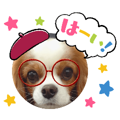 [LINEスタンプ] キャバリア クル③