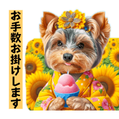 [LINEスタンプ] 夏に使えるヨーキースタンプ