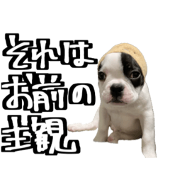 [LINEスタンプ] 飼い犬を使うことは私たちの自己満です