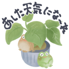 [LINEスタンプ] ずっと使える♡カエルと植木鉢の天気・防災