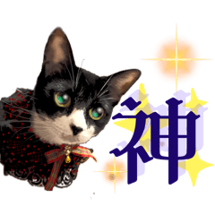 [LINEスタンプ] ねこの御言葉
