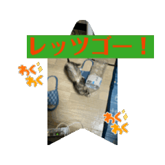 [LINEスタンプ] おてんばプリンセスの日々