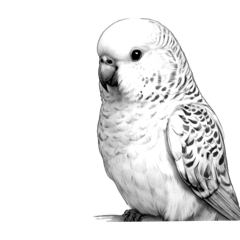 [LINEスタンプ] AI・モノクロ鳥(言葉 なし)