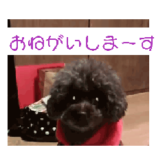 [LINEスタンプ] 動くモジャ×3と野良猫ノーランド2