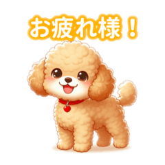 [LINEスタンプ] とにかくかわいい トイプードル