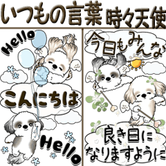 [LINEスタンプ] 【Big】シーズー『いつもの言葉』時々天使の画像（メイン）