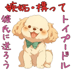 [LINEスタンプ] 嫉妬＆構ってトイプードルちゃん