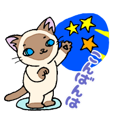 [LINEスタンプ] ほうせんか猫の部屋 猫イラストスタンプ5