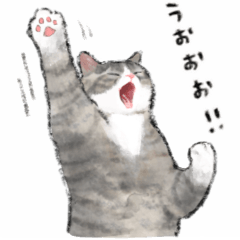 [LINEスタンプ] うちの子ブルータビーホワイト！にほんねこ