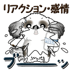 [LINEスタンプ] 白＆黒シーズー犬『リアクション・感情』の画像（メイン）