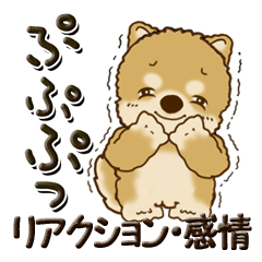 [LINEスタンプ] 柴犬・茶色い犬『リアクション・感情』の画像（メイン）