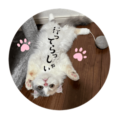 [LINEスタンプ] ぽて専用