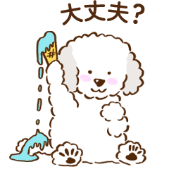 [LINEスタンプ] トイプードルの夏スタンプ